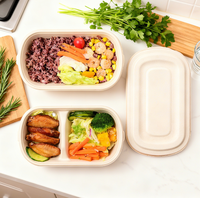 Premium Wegwerp Bagasse Afhaallocatie Eetbak Duurzaam 850/1000ml 2-Vaks Voedselcontainer met Deksel