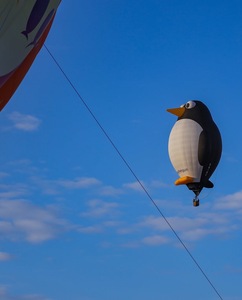 <span class=keywords><strong>Ballon</strong></span> publicitaire géant gonflable en forme de montgolfière, <span class=keywords><strong>ballon</strong></span> volant à l'hélium, <span class=keywords><strong>prix</strong></span> du montgolfière - Product Image 5