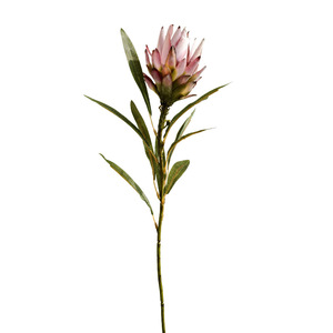 ช่อดอกไม้ประดิษฐ์ ยี่ห้อ Yihua รุ่น King Protea สีชมพูแดง สำหรับตกแต่งบ้านและโต๊ะทำงาน - Product Image 5