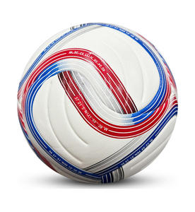 Buts <span class=keywords><strong>de</strong></span> football Racetex et mini-buts - But <span class=keywords><strong>de</strong></span> football en métal durable en blanc et noir (240x160 cm) - Product Image 5