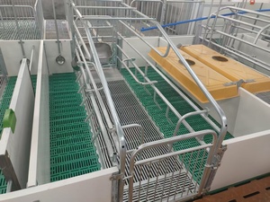 Hot mạ kẽm lợn trang trại thiết bị <span class=keywords><strong>farrowing</strong></span> <span class=keywords><strong>Crate</strong></span> thai sản gian hàng Lợn nái lồng - Product Image 3