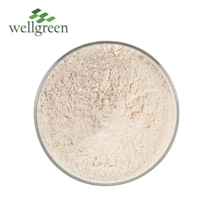 थोक प्राकृतिक थोक खाद्य ग्रेड फाइबर 99% कार्बनिक <span class=keywords><strong>Psyllium</strong></span> भूसी पाउडर के लिए वजन घटाने - Product Image 1