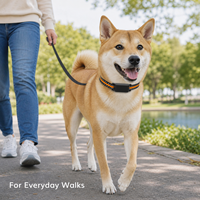 Collier de suivi GPS 4G intelligent pour animaux de compagnie, étanche IP65, en nylon et plastique, pour chiens et chats, avec stockage cloud, compatible multi-OS, vente en gros