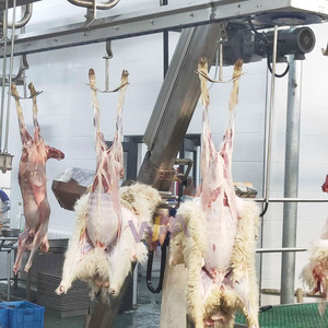 Abattoir halal <span class=keywords><strong>de</strong></span> carcasses <span class=keywords><strong>de</strong></span> moutons Équipement <span class=keywords><strong>d</strong></span>'abattoir <span class=keywords><strong>de</strong></span> chèvres Équipement <span class=keywords><strong>de</strong></span> traitement <span class=keywords><strong>d</strong></span>'abattage utilisé pour l'enlèvement <span class=keywords><strong>de</strong></span> la peau des moutons - Product Image 4