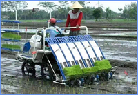 Nouveau planteur de riz 6 rangées 4 roues, type d'équitation à main en Chine, prix du semoir aux Philippines, en Inde, 4 lignes
