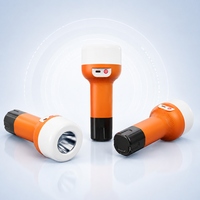 Lampe torche LED rechargeable portable, 21 LED haute luminosité, 2400 mAh, type C, pour le camping, les situations d'urgence et l'éclairage domestique