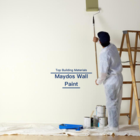 Peinture intérieure blanche pour maison, à faible odeur, faible teneur en COV, finition brillante, mate ou latex, à base de coquille d'œuf, soie et acrylique