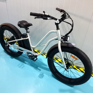 Batterie de vélo électrique 48V pour VTT 26'' à pneus larges, cruiser, 750W, autres VTT sportifs, Dirt Ebike, ATV - Product Image 6