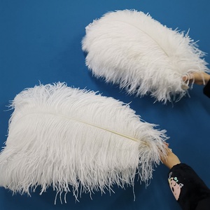 Vente en gros de grandes <span class=keywords><strong>plumes</strong></span> d'autruche <span class=keywords><strong>blanches</strong></span> pour décoration de mariage, artisanat, centre de table de fête de carnaval, motif teint - Product Image 3