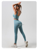 Ensemble de sport et yoga pour femmes, taille haute, extensible, sans couture, avec logo personnalisé, pour grossistes