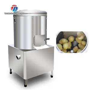 Kartoffel walzen reinigungs maschine Kommerzielle Taro-Kartoffel-Schälmaschine TS-P30