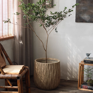 Arte a rayas, artículos de flores grandes Vintage, cielo Sur, bambú, árbol de limón, <span class=keywords><strong>maceta</strong></span> verde, decoración de tienda, <span class=keywords><strong>maceta</strong></span> de arcilla de magnesio - Product Image 2