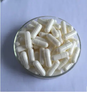 00 #4 # Gescheiden Lege Harde Gelatine Capsules