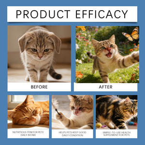 Poudre de <span class=keywords><strong>Taurine</strong></span> Naturelle Pure pour Chats – Améliore la Vitalité Physique et l'Équilibre Intestinal – 200g – Fabricant d'Usine – Vente Chaude – OEM - Product Image 6