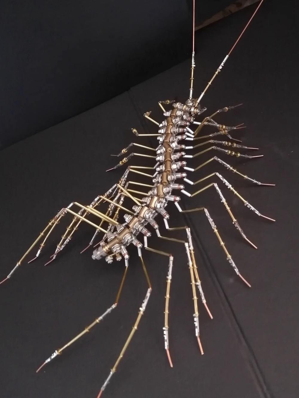 Centipede assembled bag