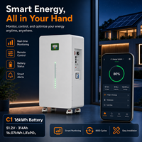 Batterie LiFePO4 16,08 kWh 48 V 314 Ah avec BMS Jikong à équilibrage actif, écran LCD 3,5 pouces, CAN RS232 pour système hors réseau
