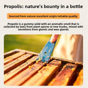Comprimés de <span class=keywords><strong>Propolis</strong></span> Pressés 30% de Contenu 500g Sachet Origine Henan Soulagement des Troubles Gastro-intestinaux Vente en Gros - Product Image 3