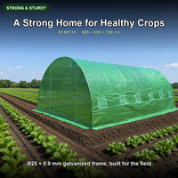 Grande Serre de Jardin pour Légumes et Fleurs, Structure en Acier Galvanisé, Maille PE Verte, 12 Fenêtres
