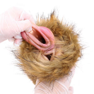 GEEBA mainan masturbasi pria silikon Vagina Dual Channel Tiger Masturbator saku realistis hewan mewah grosir - Product Image 5