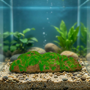 Wall-Mounted Plastic Artificial Moss Rectangle Frame Detachable 23x30cm Indoor Greenery Wall - Product Image 3