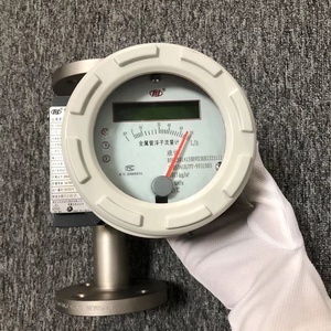 Débitmètre rotamètre à tube métallique OEM fabriqué en Chine, faible coût, bon prix RAMC08-D4SS-77V8-T90NNN/A13/BG/K1/P6/QR1/ID1 - Product Image 2