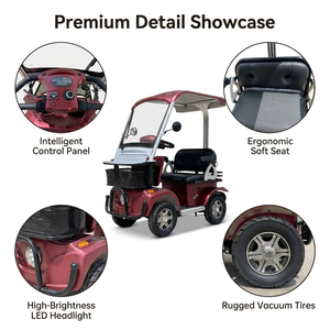 Mini-buggy électrique haut de gamme S1-3 pour adultes, <span class=keywords><strong>2</strong></span> places, autonomie de 53 km, châssis en alliage, frein électromagnétique en option, idéal pour les visites touristiques - Product Image 4