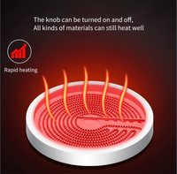 Cuisinière à induction électrique MZD 800 Watt, mini cuisinière à induction pour usage domestique, boîtier en acier inoxydable