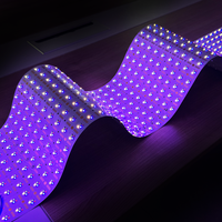 Feuille lumineuse LED RGBW étanche à installation facile, haute luminosité, 10M, panneau flexible, intensité réglable pour conception de rétroéclairage sur mesure