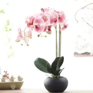 Di alta qualità vero tocco artificiale phalaenopsis bonsai di alta qualità Farfalla orchidea pianta in vaso