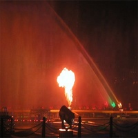 Fontaine à eau, flamme, spectacle, livraison gratuite