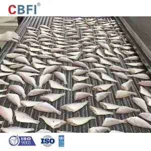 औद्योगिक उच्च गुणवत्ता वाली जमे मछली iqf सुरंग विस्फोट फ्रीजर फ्लैश फ्रीजर सुरंग