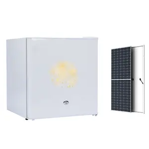 Zarif taşınabilir açık buzdolabı küçük tek kapılı buzdolabı 50 litre üzerinde çalıştırmak için güneş enerjisi dc 12 buzdolabı kapalı izgara kullanımı