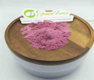 מפעל סיפק אבקת חמוציות עשיר proanthocyanidins וויטמין C לחיזוק חסינות מזונות ונוגדי חמצון - Product Image 2