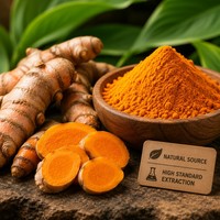 Extrait de curcuma pur naturel en poudre cristalline 95% curcuminoïdes de qualité alimentaire pour la santé des articulations