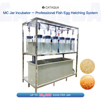 Incubateur vertical 4 bocaux pour aquaculture, écloserie de poissons pour projets d'élevage d'œufs de Tilapia, Poisson-chat, Carpe