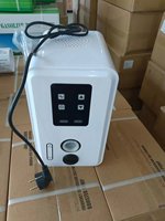 Pompe électrique automatique silencieuse haute pression à simple étage en fonte avec moteur en cuivre, personnalisable OEM, connexion à accouplement fixe pour