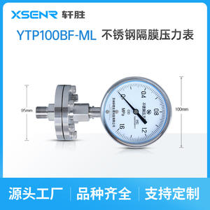 Suzhou Ytp 100bf Diaphragm Pressure Gauge Stainless Steel 100mm Threaded Anti Clogging - Product Image 4
