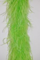 Robe de soirée pour femmes, boa en plumes d'autruche, danse