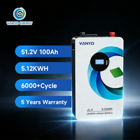 Système de stockage d'énergie VANYO 5,12 kWh 51,2 V 100 Ah, batterie LiFePO4 pour stockage d'énergie solaire domestique, montage mural