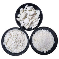 Poudre de talc pour le corps en vrac, poudre de talc céramique, poudre de talc 325 Mesh