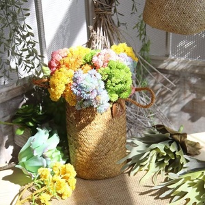 Plantas suculentas artificiales <span class=keywords><strong>de</strong></span> <span class=keywords><strong>plástico</strong></span> realista, decoración <span class=keywords><strong>de</strong></span> interiores, <span class=keywords><strong>flores</strong></span> artificiales - Product Image 6