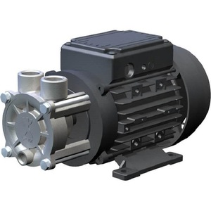 Pompe à engrenages Speck NPY-2051.0506 1 CV, monophasée, électrique, rotative, connexion à bride, sortie 1 pouce, membrane NBR - Product Image 1