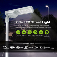 ZGSM-ST17-100M Photocellule Rue LED Éclairage extérieur Lumière LED pour voie publique