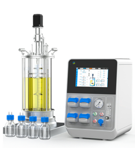 यू डी कस्टम उत्पाद किण्वन मशीन लैब स्केल ग्लास बेंचटॉप खमीर प्रोटीन प्लांट मायकेलियम बायोरिक्टर - Product Image 1