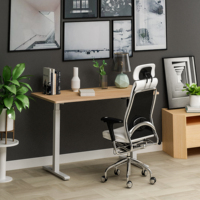 Bureau extensible à hauteur réglable (panneau en option) avec moteurs simples - Mobilier de bureau moderne en bois pour usage hospitalier, fixation murale