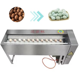 Lavadora de limpieza de huevos con cepillo Lavadora automática de huevos de pollo con ciclo de agua - Product Image 2