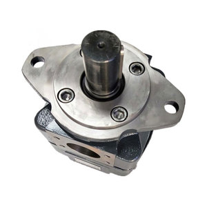 Bomba Hidráulica Serie QX QXEH QXEH32 QXEH42 QXEH52 QXEH62 QXEH82, Bomba de Aceite de Engranajes Internos de Alta Presión QXEH42-032R451 - Product Image 3