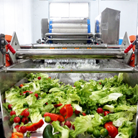 Commerciële vortexwasmachine voor voorgeknipte groenten en saladegroenten, 1-3T/H
