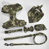 Ensemble de colliers et laisses pour animaux de compagnie, vente en gros, personnalisé, poignée en néoprène imprimée en couleur, harnais en plomb pour chien, gilet, colliers et laisses pour animaux de compagnie