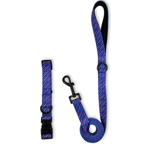 Collar de Nailon Personalizado para Perros con Hebilla, Diseño Floral, Geométrico y Arcoíris para Perros Pequeños - Product Image 4